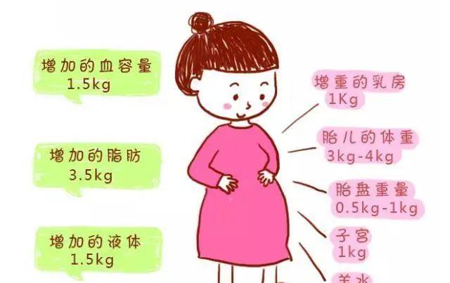 孕前飲食記錄體重變化表_孕前體重管理_孕期體重控制記錄表