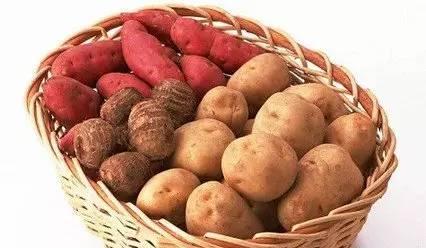 孕前飲食調養很重要嘛_孕前飲食調理_孕前調養決定孩子的一生