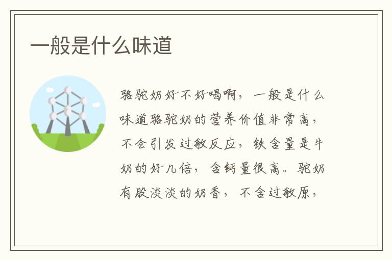 一般是什么味道