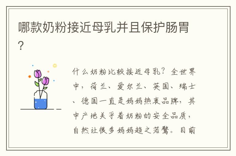 哪款奶粉接近母乳并且保護腸胃？