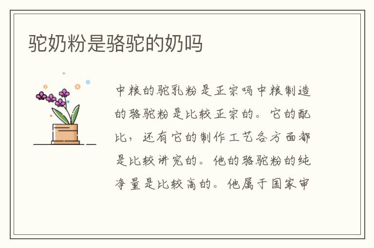 駝奶粉是駱駝的奶嗎