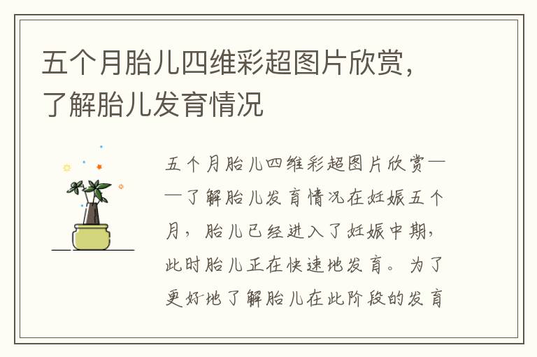 五個月胎兒四維彩超圖片欣賞，了解胎兒發育情況