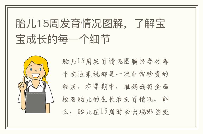胎兒15周發育情況圖解，了解寶寶成長的每一個細節
