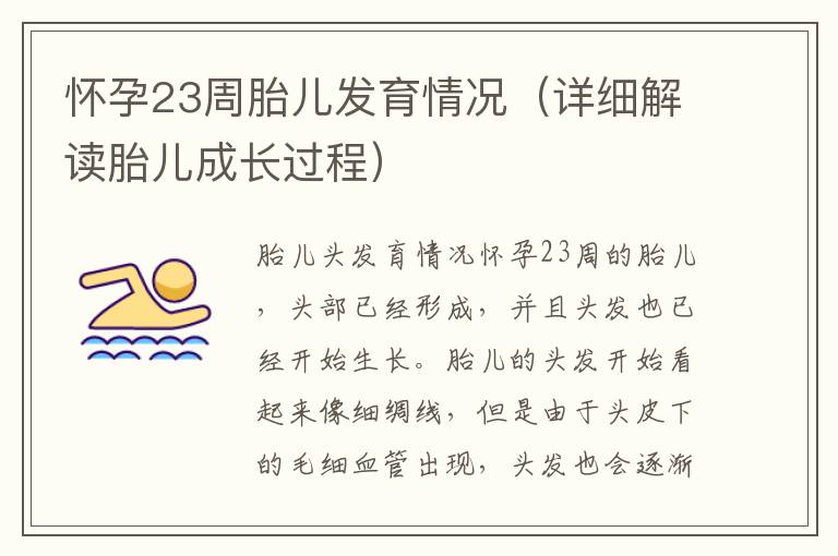 懷孕23周胎兒發育情況（詳細解讀胎兒成長過程）