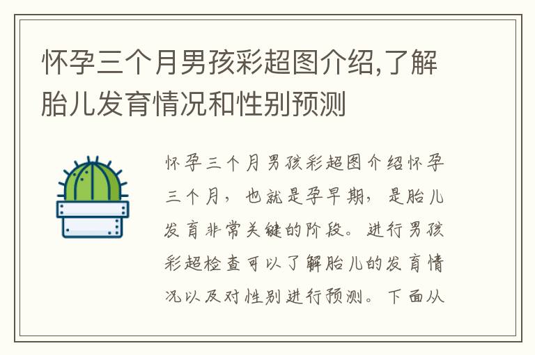 懷孕三個月男孩彩超圖介紹,了解胎兒發育情況和性別預測