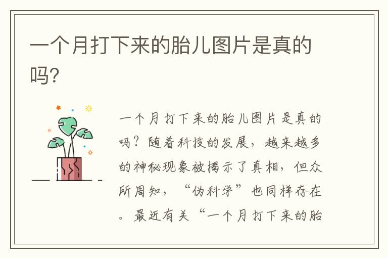 一個月打下來的胎兒圖片是真的嗎？