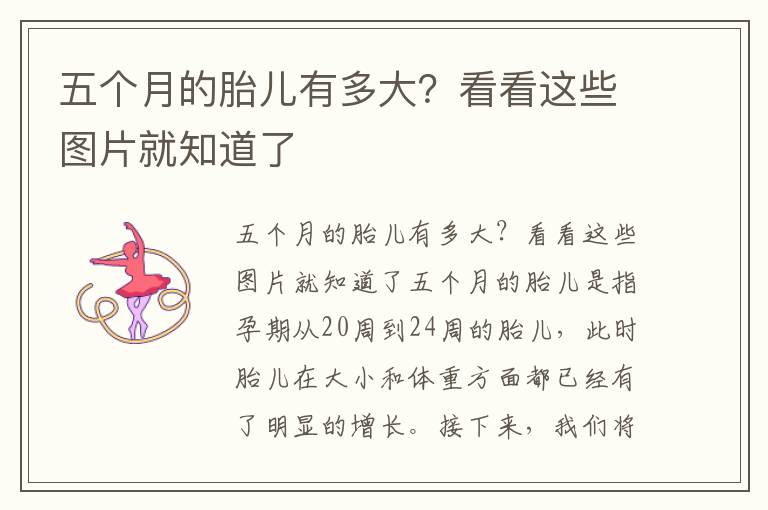 五個月的胎兒有多大？看看這些圖片就知道了