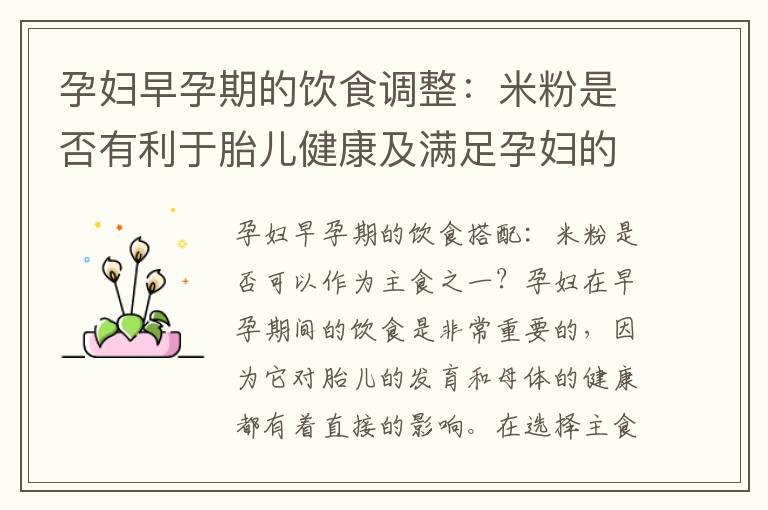 孕婦早孕期的飲食調整：米粉是否有利于胎兒健康及滿足孕婦的營養需求？