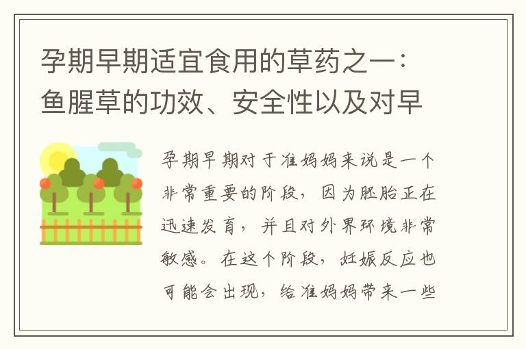 孕期早期適宜食用的草藥之一：魚腥草的功效、安全性以及對早孕期孕婦的益處