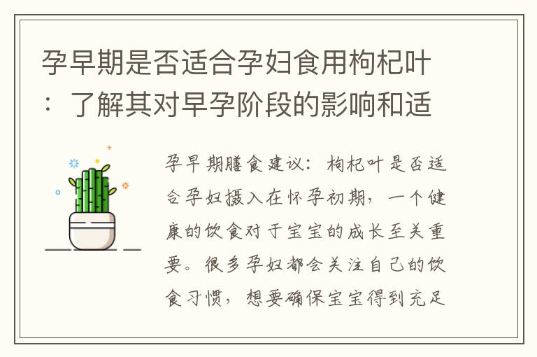 孕早期是否適合孕婦食用枸杞葉：了解其對早孕階段的影響和適用性