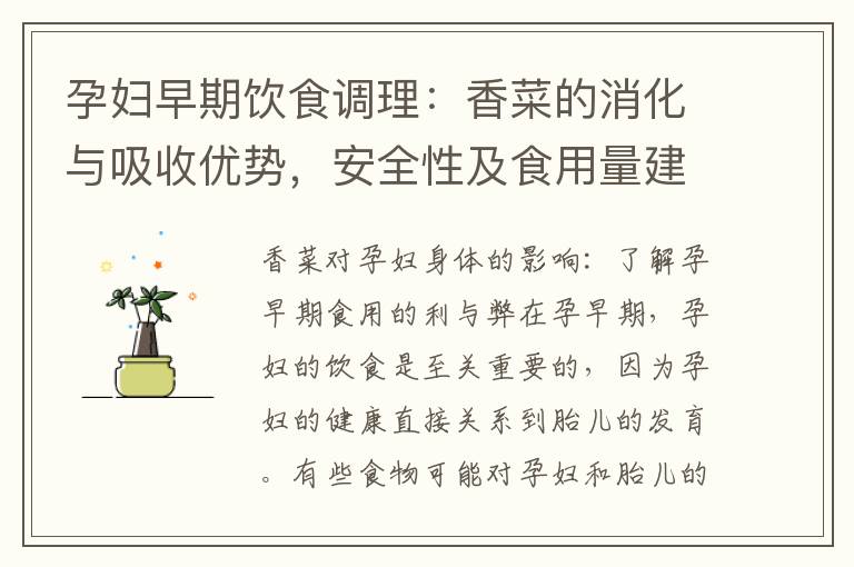 孕婦早期飲食調理：香菜的消化與吸收優勢，安全性及食用量建議