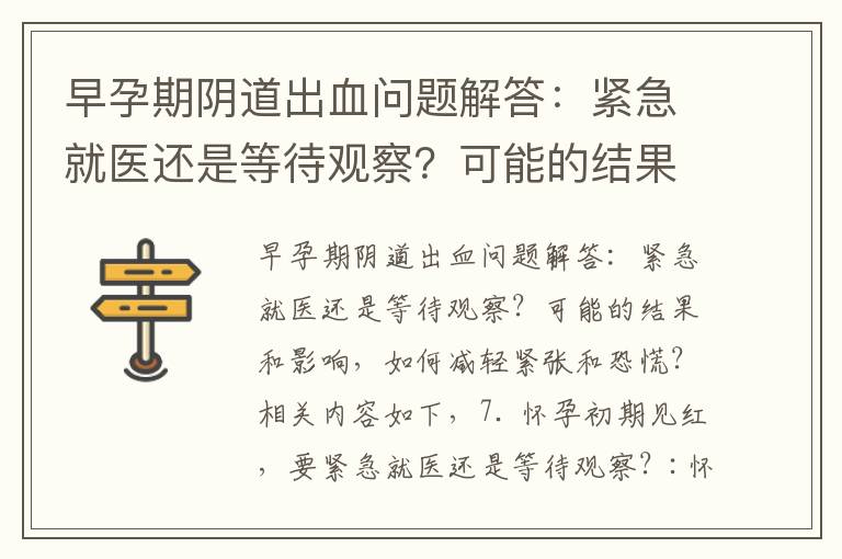 早孕期陰道出血問題解答：緊急就醫還是等待觀察？可能的結果和影響，如何減輕緊張和恐慌？