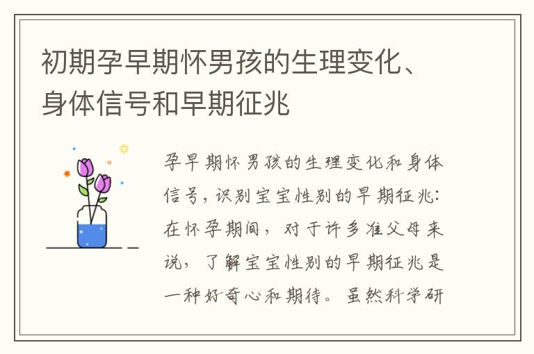 初期孕早期懷男孩的生理變化、身體信號和早期征兆