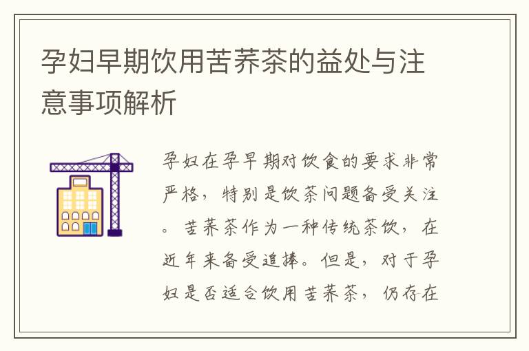 孕婦早期飲用苦蕎茶的益處與注意事項解析