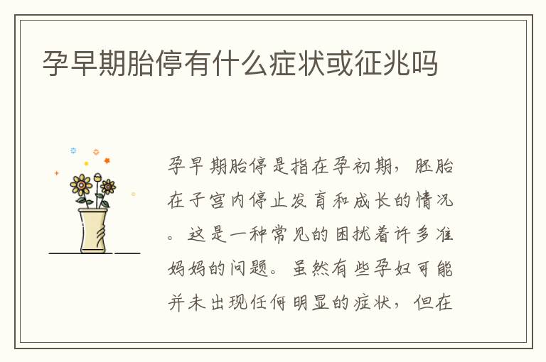 孕早期胎停有什么癥狀或征兆嗎
