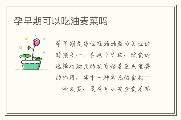 孕早期可以吃油麥菜嗎