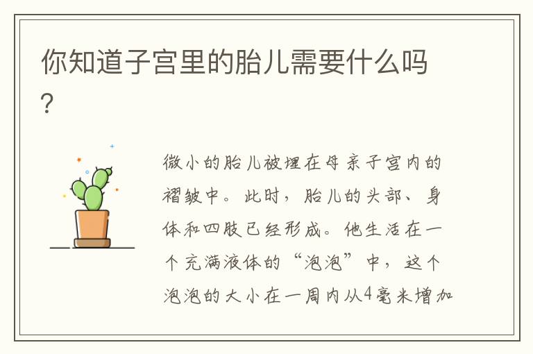 你知道子宮里的胎兒需要什么嗎？