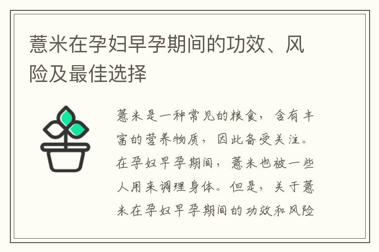 薏米在孕婦早孕期間的功效、風險及最佳選擇