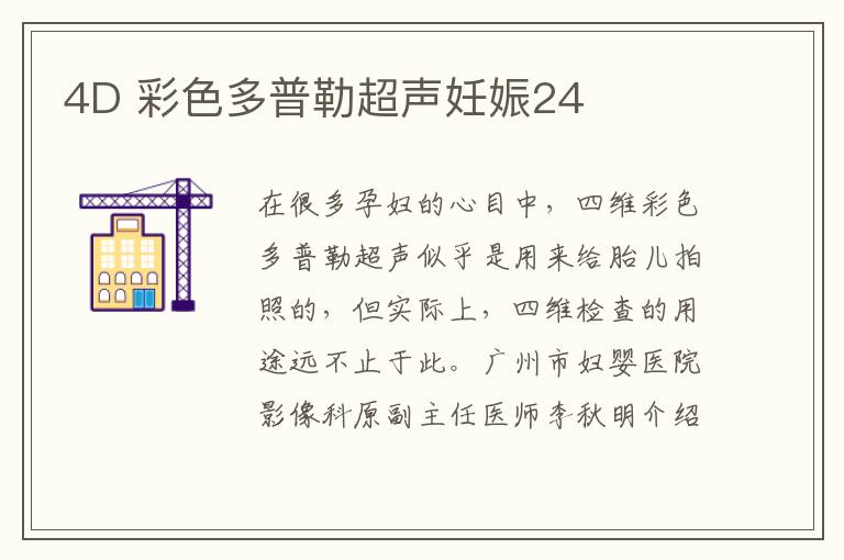 4D 彩色多普勒超聲妊娠24