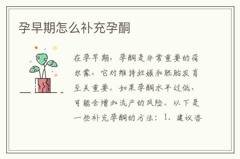 孕早期怎么補充孕酮