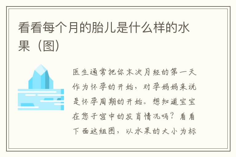 看看每個月的胎兒是什么樣的水果（圖）