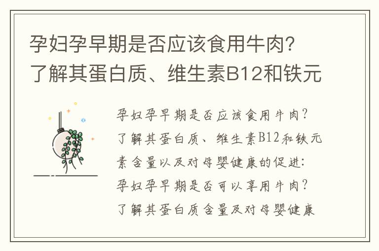 孕婦孕早期是否應該食用牛肉？了解其蛋白質、維生素B12和鐵元素含量以及對母嬰健康的促進_孕早期吃了皮蛋怎么