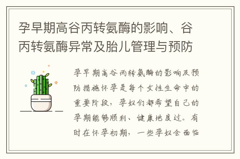 孕早期高谷丙轉氨酶的影響、谷丙轉氨酶異常及胎兒管理與預防措施