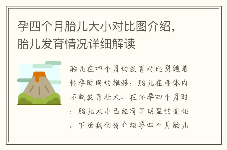 孕四個月胎兒大小對比圖介紹，胎兒發育情況詳細解讀