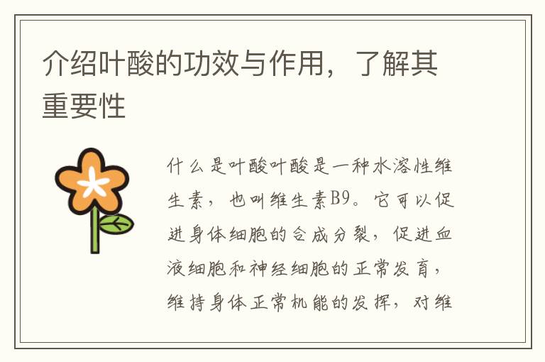 介紹葉酸的功效與作用，了解其重要性