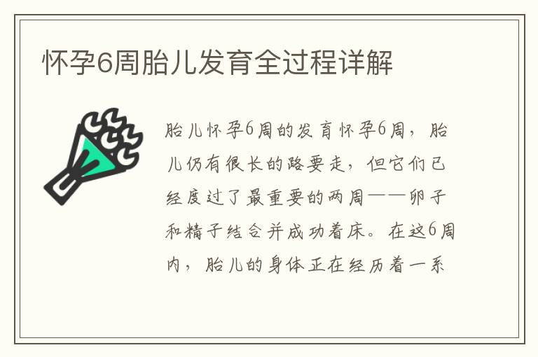 懷孕6周胎兒發育全過程詳解