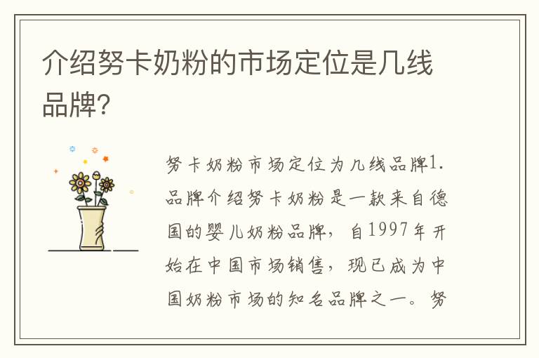 介紹努卡奶粉的市場定位是幾線品牌？