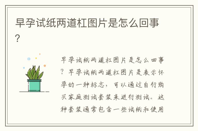 早孕試紙兩道杠圖片是怎么回事？