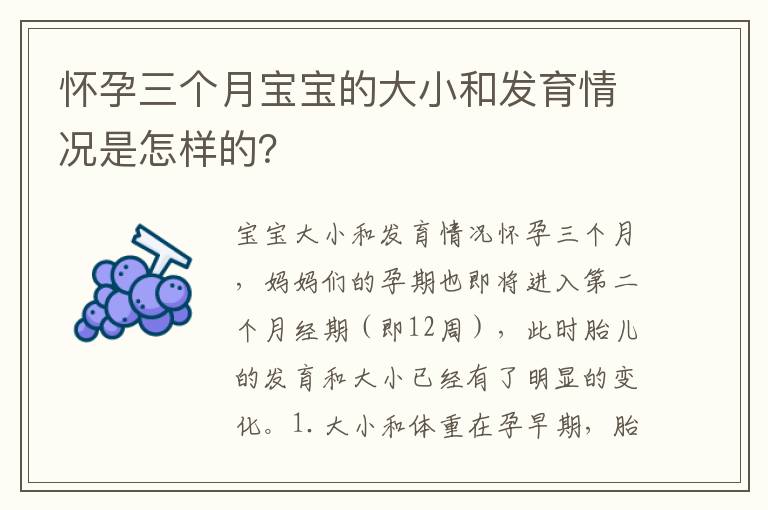 懷孕三個月寶寶的大小和發育情況是怎樣的？