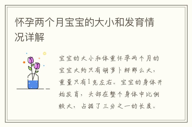 懷孕兩個月寶寶的大小和發育情況詳解
