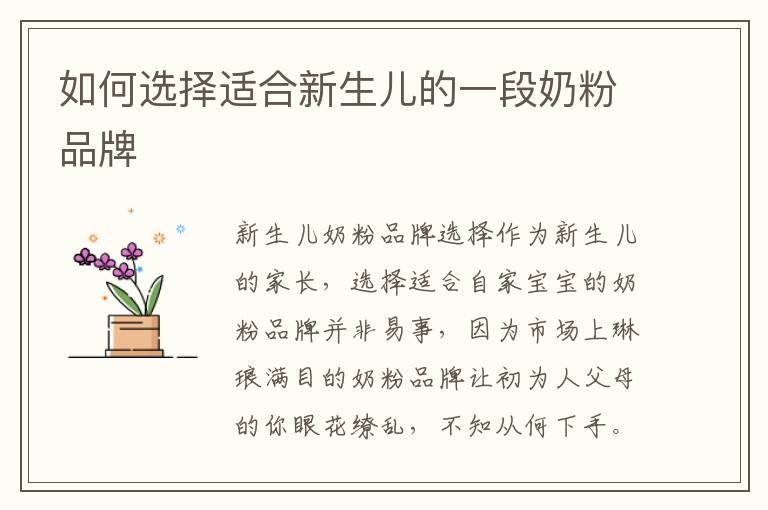 如何選擇適合新生兒的一段奶粉品牌