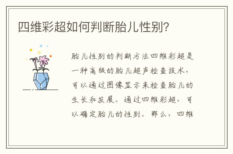 四維彩超如何判斷胎兒性別？