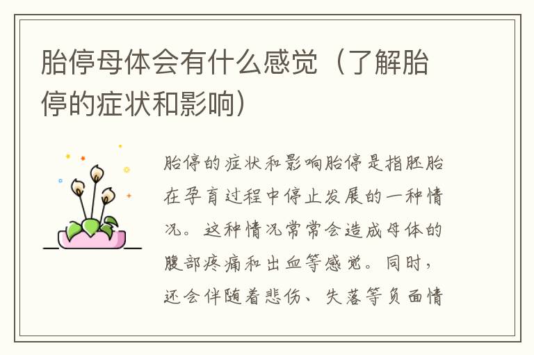 胎停母體會有什么感覺（了解胎停的癥狀和影響）