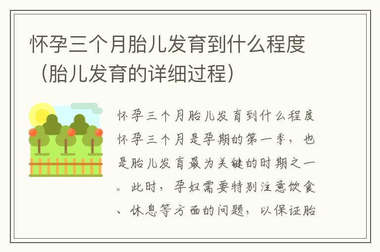 懷孕三個月胎兒發育到什么程度（胎兒發育的詳細過程）