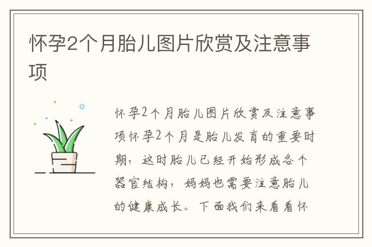 懷孕2個月胎兒圖片欣賞及注意事項