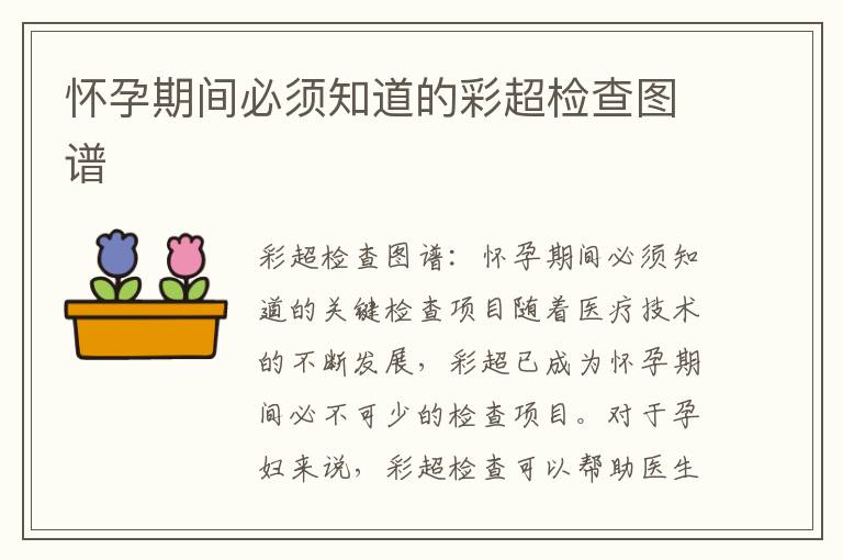 懷孕期間必須知道的彩超檢查圖譜