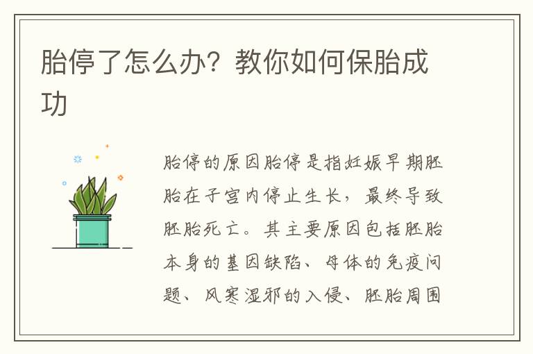 胎停了怎么辦？教你如何保胎成功