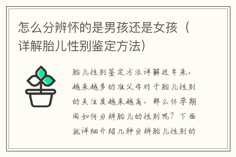 怎么分辨懷的是男孩還是女孩（詳解胎兒性別鑒定方法）