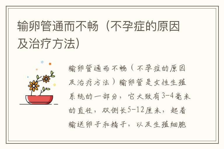 輸卵管通而不暢（不孕癥的原因及治療方法）