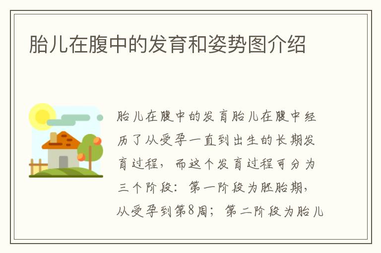 胎兒在腹中的發育和姿勢圖介紹