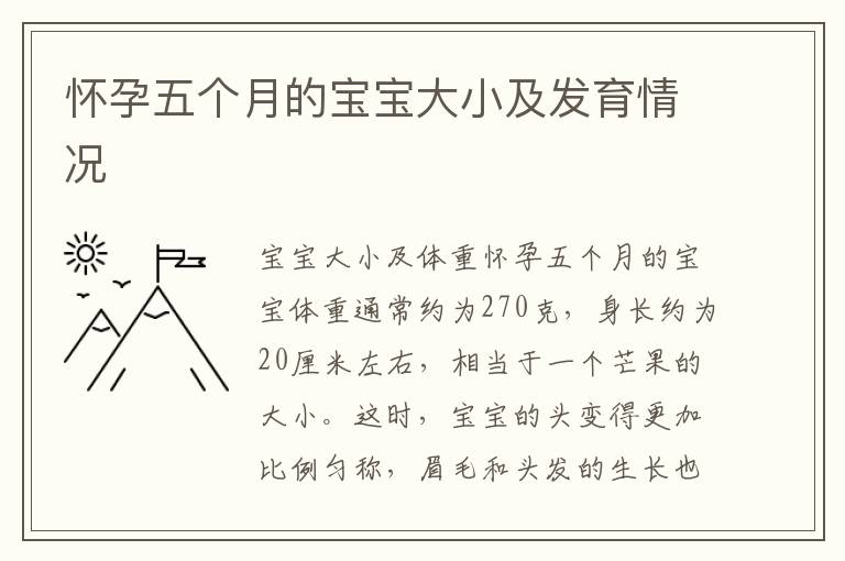 懷孕五個月的寶寶大小及發育情況