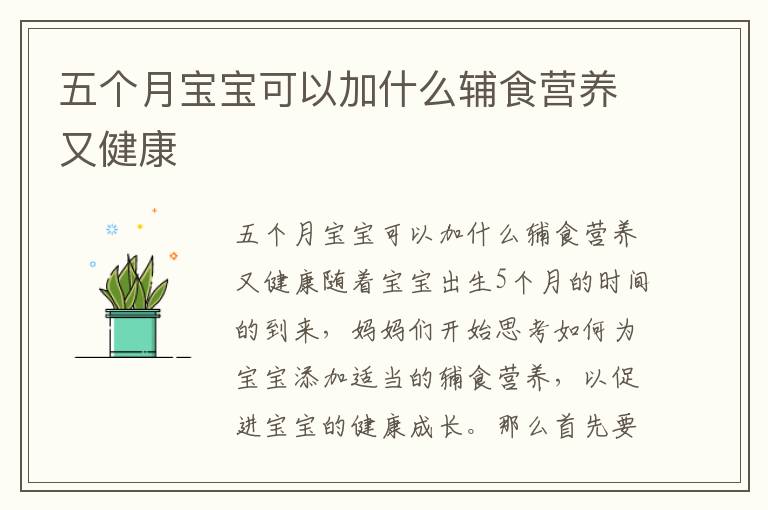 五個月寶寶可以加什么輔食營養又健康