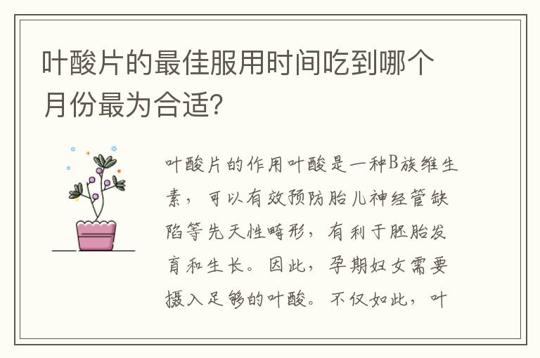 葉酸片的最佳服用時間吃到哪個月份最為合適？