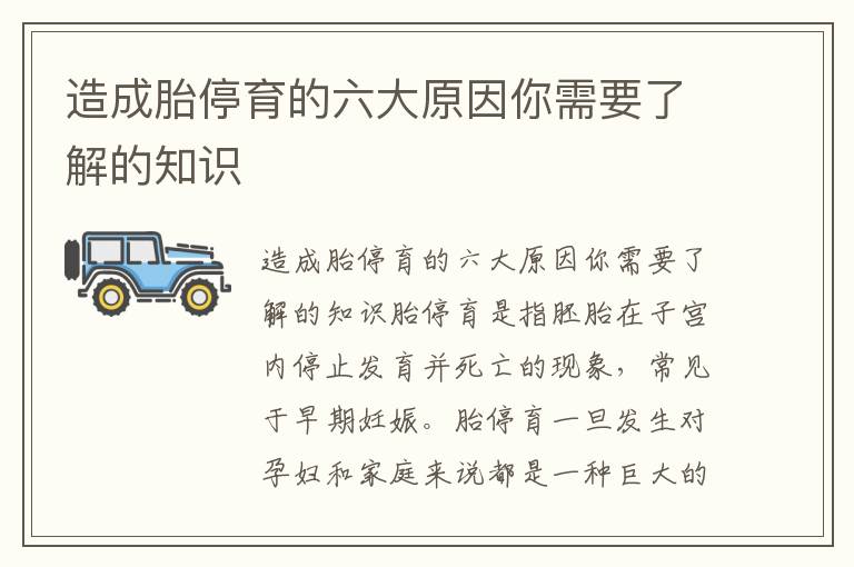 造成胎停育的六大原因你需要了解的知識