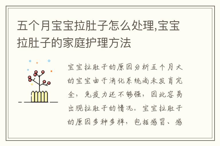 五個月寶寶拉肚子怎么處理,寶寶拉肚子的家庭護理方法