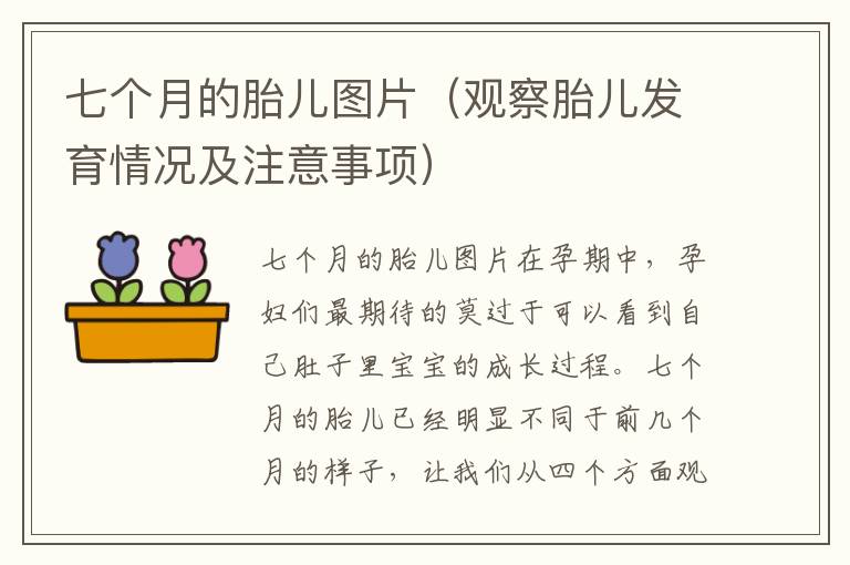 七個月的胎兒圖片（觀察胎兒發育情況及注意事項）